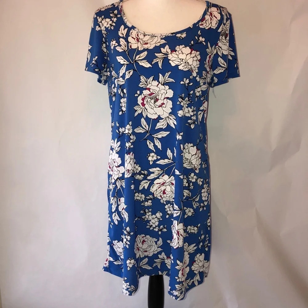 Beautiful Blue Floral Spring Dress